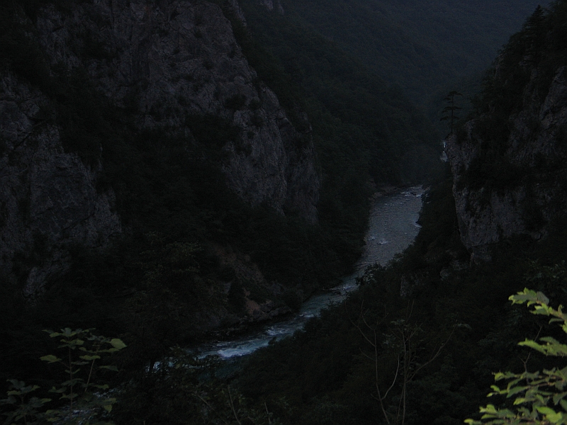 Original image